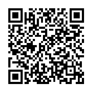 给你们争取几百万到几千万年的逃生和发展时间二维码生成