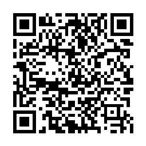 给周边的本地百姓带来了一些挣钱和食物的机会二维码生成