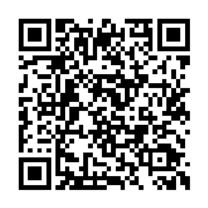 给大家演示了喳喳这样的飞行动物所具有的能力二维码生成