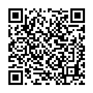 给宴家留后……虽然他们没有说一定要生个男孩儿二维码生成