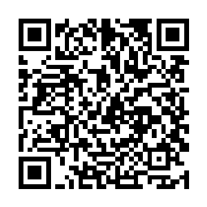 给我们星盗盟的金丹期强者提供干掉对方旗舰的机会二维码生成