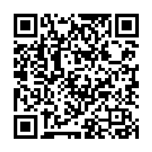 给我做一条其实无法发挥太大作用的高昂液态金属手臂二维码生成