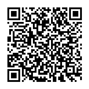 给我打了十万块钱预付金后我才开始启动调查程序的――刚刚摸上来二维码生成