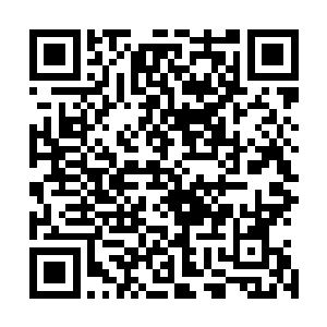 给我盖上了被子之后雅文似乎是觉得我这边的被子还不够多二维码生成