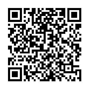 给病人治病的时候根本就不需要考虑灵草数量的问题的原因二维码生成