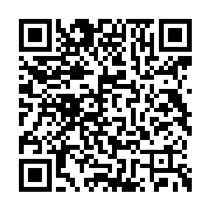 给绍兴府各县造成了严重的百姓伤亡和财产损失二维码生成