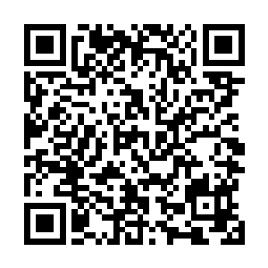 给翠香楼十个胆子也不敢如此明目张胆拍卖灵秀族族人啊二维码生成