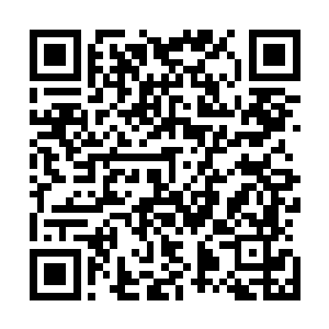 给自己和孩子甚至娘家父母都买了各种保险……如此的人生二维码生成