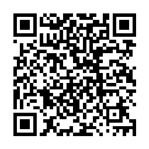 给贝海的感觉就像是看人与自然那个植物生长的快镜头二维码生成