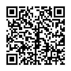 给这一被掏空的系列注入了全新的能量并使得那些美好重焕光彩二维码生成