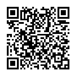 给郝圆丁开了一张三千三百三十三万三千三的支票二维码生成