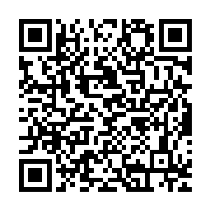 络婶子这一哭二闹三上手捶确实是把力戎大叔给整的没了脾气二维码生成