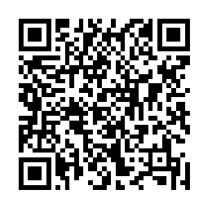 绝不仅仅是用炼狱轮回炼化了几个魔族大地骑士的水之脉轮二维码生成