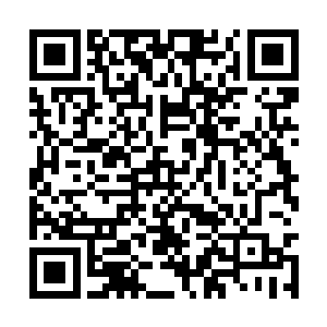 绝不可能因为只是两年多没见就会忘记任何一个人二维码生成