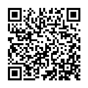 绝不可能将一位修为臻至玄仙境巅峰的仙人伤成这般地步二维码生成