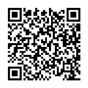 绝倾殇一边奋力的用灵力砸向拼命挣扎的神魔黑熊二维码生成