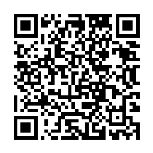 绝倾殇从袖子里拿出一株九片叶子都是赤红色的草药二维码生成