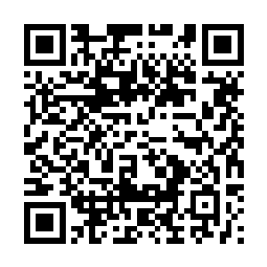 绝命榜的参赛者们纷纷背着各自的狙击枪跟随在他的身后二维码生成