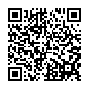 绝壁到了另一个境界……恐怕操控机甲也没那么快吧二维码生成