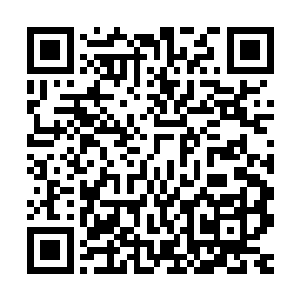 绝大多数人此时心里想的不是这个洪老鼠是不是一个无情的父亲二维码生成