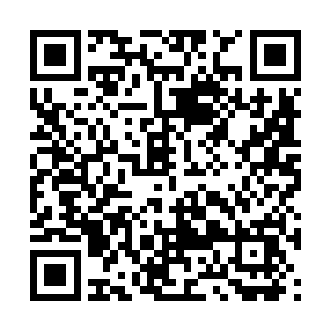 绝大多数仙人去了之后就彻底在这个世界上消失了二维码生成