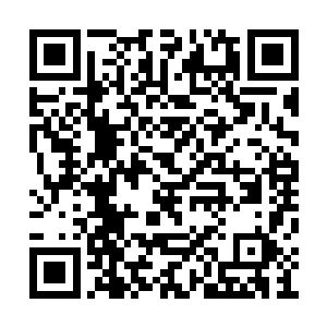 绝大多数国营企业并没有实行现代企业管理制度二维码生成