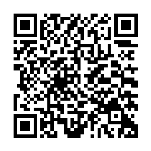 绝大多数帝国精锐都被抽调到后方对付四大选帝侯家族的余孽二维码生成