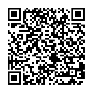 绝大多数更加普通的人还是能够在自己的有限生命里平静平淡地度过滴……二维码生成