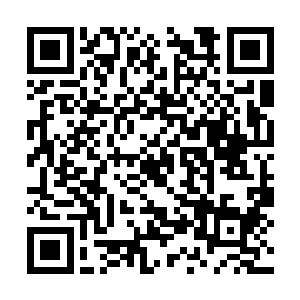 绝大多数有野心的人只会暗中展开夺取符印的计划二维码生成