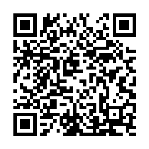 绝大多数的九大上国大帝是因为学会了帝王之眼后二维码生成