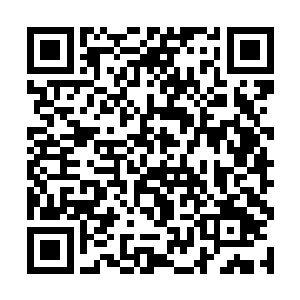绝大多数都是周边神国中那些赫赫有名的主神级家族二维码生成