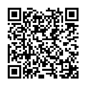 绝大部分原因是因为杨开在失落之地偷袭了他一下二维码生成