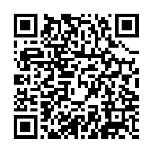 绝大部分地区不是温和的华裔聚居就是广袤的原始热带雨林二维码生成