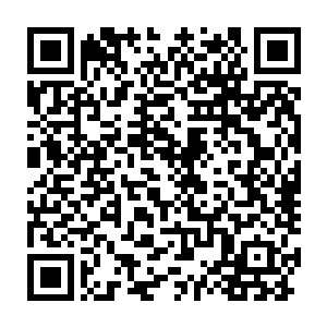 绝大部分平民百姓都在过去百年的艰苦奋斗中被榨干了最后一滴血汗二维码生成