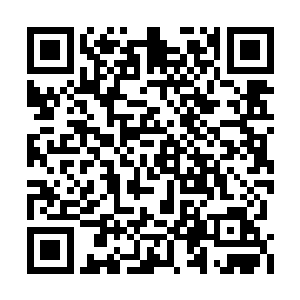 绝大部分应该已是被鸿蒙药尊炼化为了某件宝物二维码生成