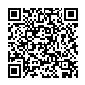 绝大部分星空异族就像是幼儿园中的孩子一样幼稚二维码生成