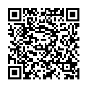 绝大部分民众根本没机会也没资格知晓整个项目的进度二维码生成