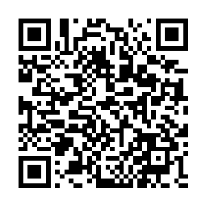 绝大部分的人看着李雨彤那凹凸有致的身材和绝美的容颜二维码生成