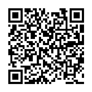 绝大部分联邦军的肉眼只能捕捉到两道淡淡的流光二维码生成