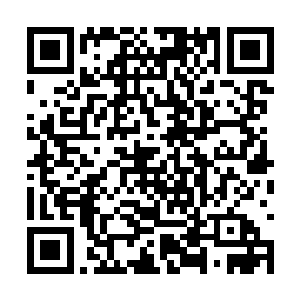 绝大部分英灵已经彻底洗净了他们神魂深处的罪恶二维码生成