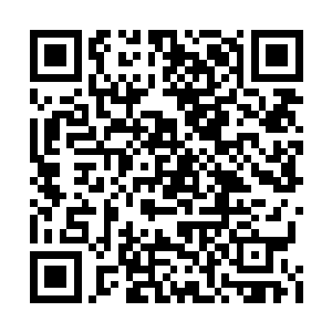 绝对不会仅仅用在保全人界委曲求全这一点上的二维码生成