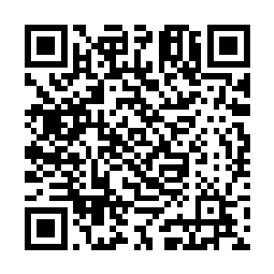 绝对不会有一个人会觉得她和任何的人类有共同之处二维码生成