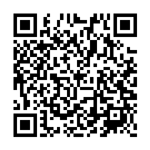 绝对不会相信他已经把所有的秘密都倾囊相授了二维码生成