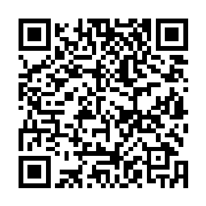 绝对不和他们去鬼混……绝对要一心一意扑在码字事业上二维码生成
