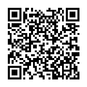 绝对不愿看到杨立业与凤凰美食城反目成仇的场面二维码生成