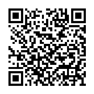 绝对不是以往在屈磊面前常常露出真诚的那一面二维码生成