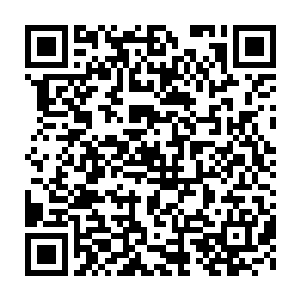 绝对不是和张家与金乌商团有商业竞争和利益纠纷的那些太夏家族二维码生成