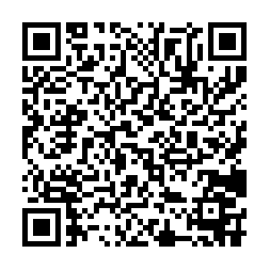 绝对不是姗姗或者江雪那种半开花而未结果的小丫头能够比得了的二维码生成