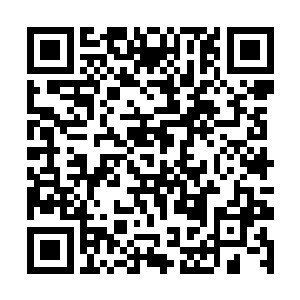 绝对不能接受一个与23军毫无关系的将军前来接任二维码生成