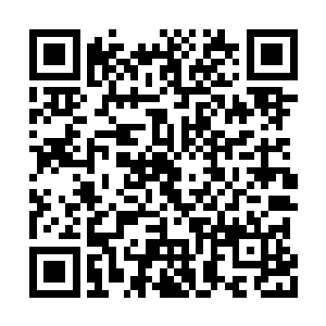 绝对不能用看待普通神级强者的目光去看待他们二维码生成